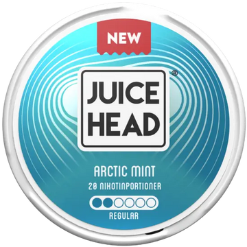 Juice Head Arctic Mint Regular EU